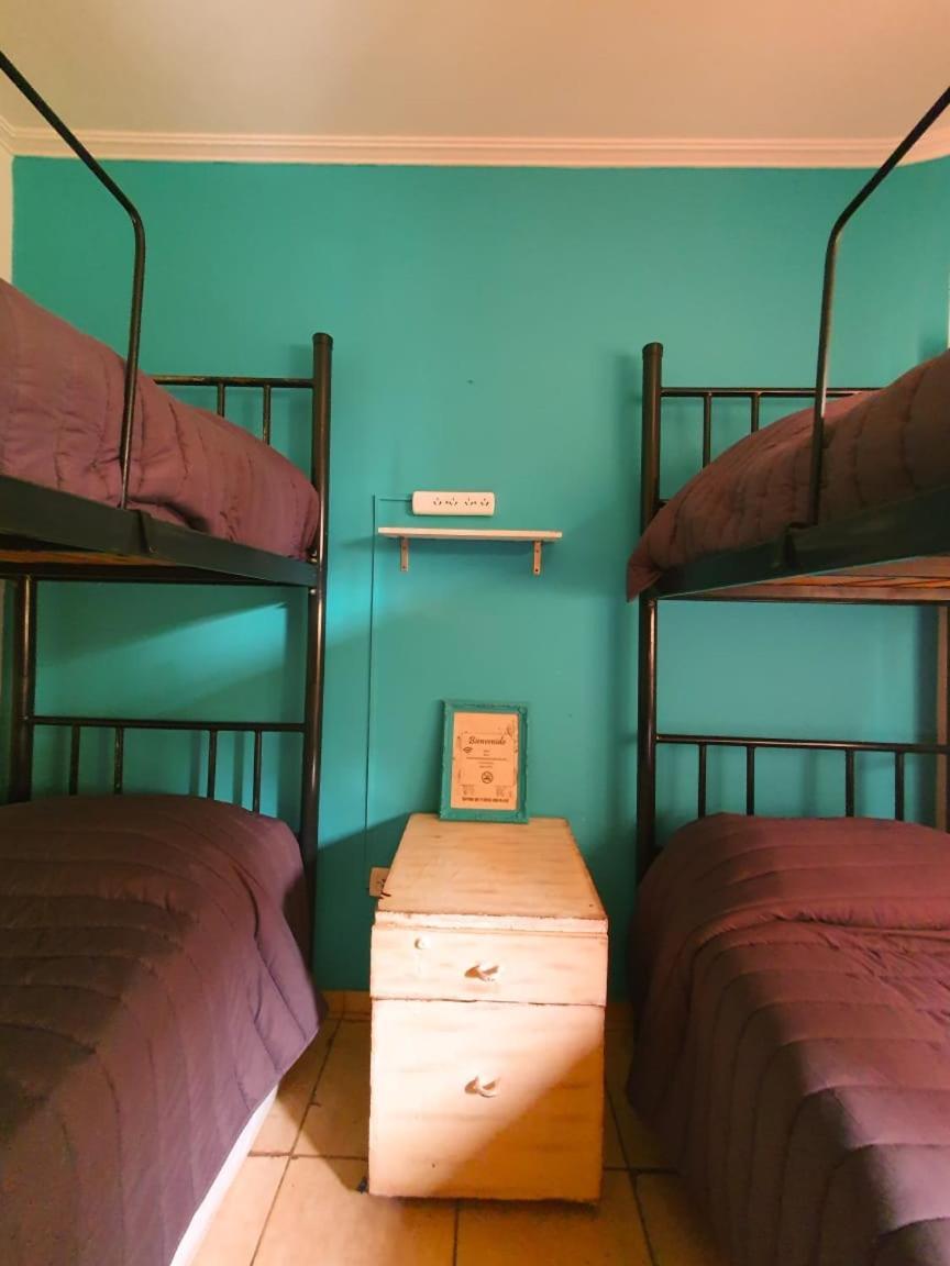 Hostel Punto Patagonico Neuquén Екстериор снимка