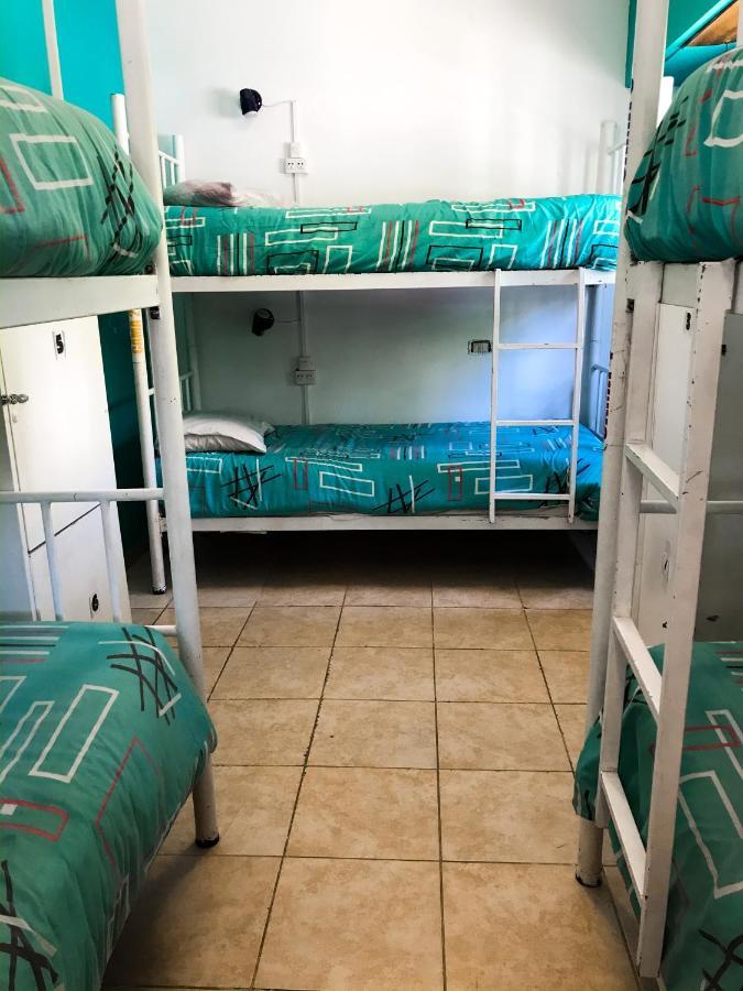 Hostel Punto Patagonico Neuquén Екстериор снимка