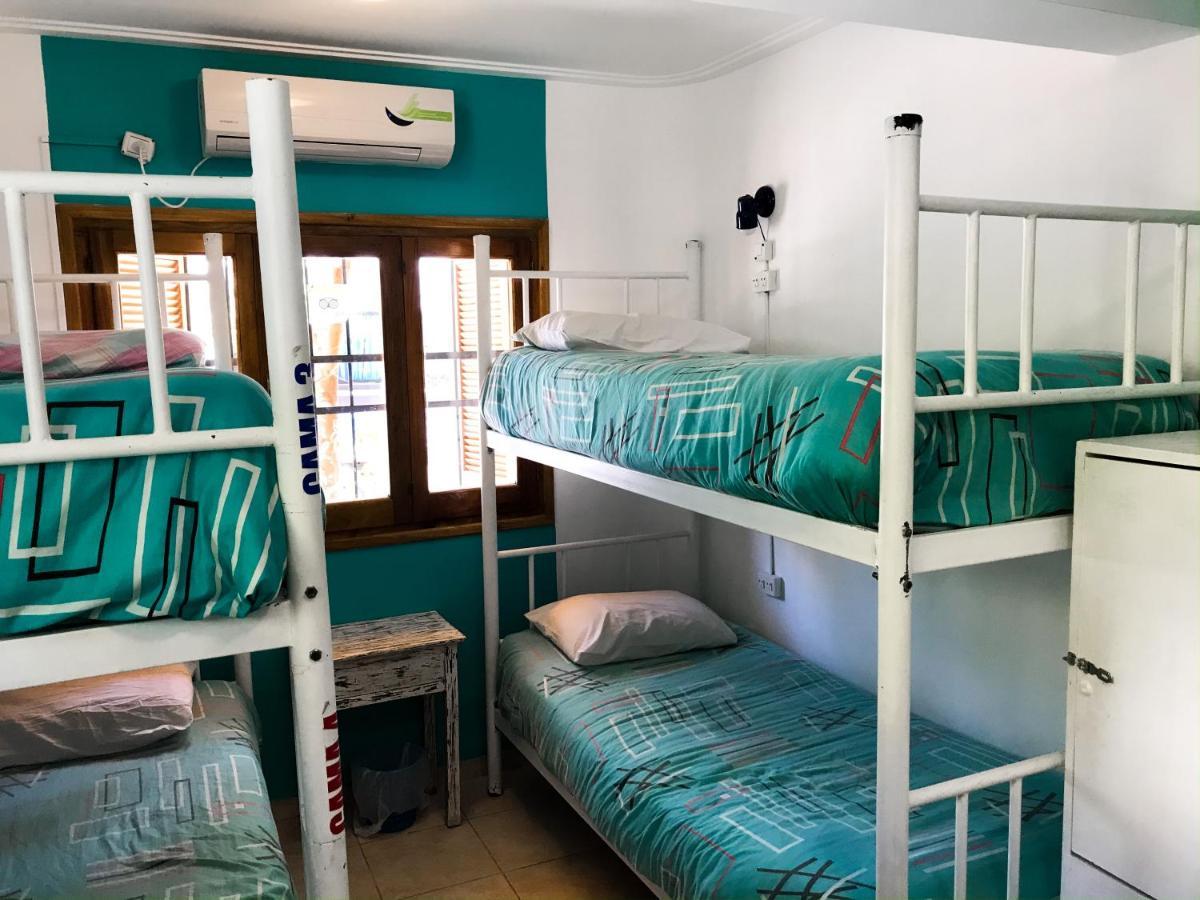 Hostel Punto Patagonico Neuquén Екстериор снимка
