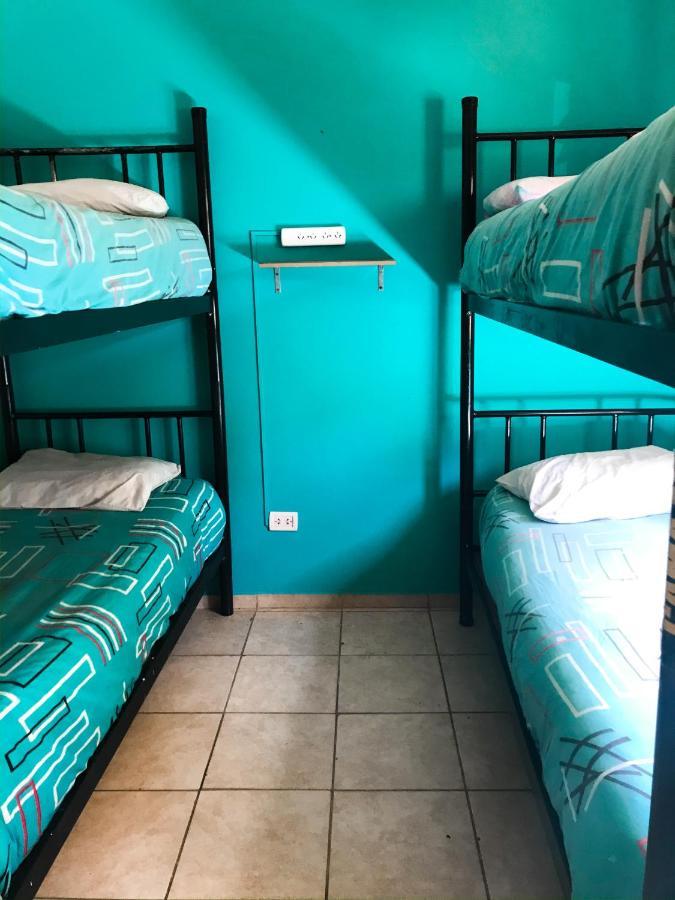 Hostel Punto Patagonico Neuquén Екстериор снимка